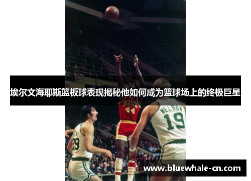埃尔文海耶斯篮板球表现揭秘他如何成为篮球场上的终极巨星