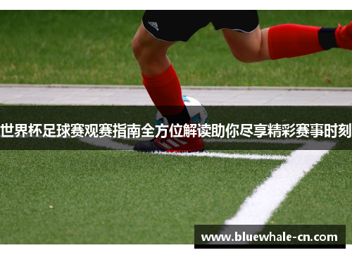 世界杯足球赛观赛指南全方位解读助你尽享精彩赛事时刻