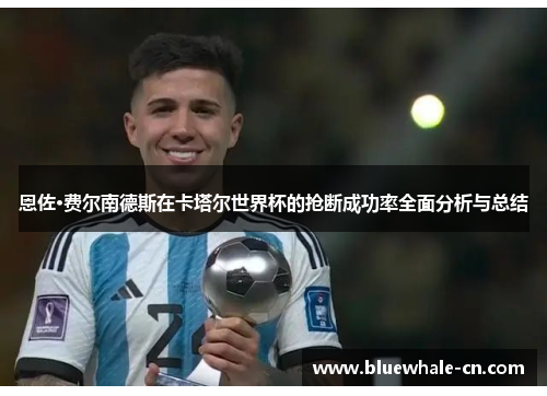 恩佐·费尔南德斯在卡塔尔世界杯的抢断成功率全面分析与总结