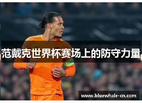 范戴克世界杯赛场上的防守力量