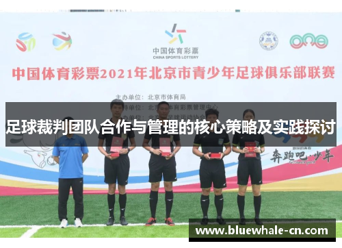 足球裁判团队合作与管理的核心策略及实践探讨