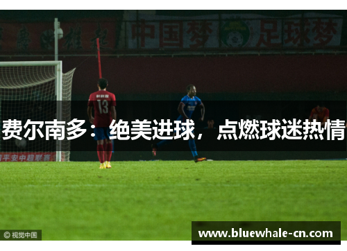 费尔南多：绝美进球，点燃球迷热情