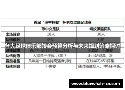 各大足球俱乐部转会预算分析与未来规划策略探讨