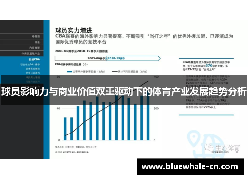 球员影响力与商业价值双重驱动下的体育产业发展趋势分析