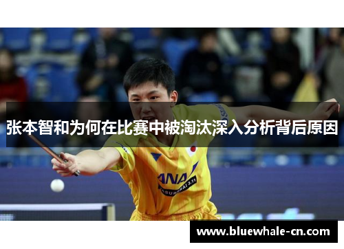 张本智和为何在比赛中被淘汰深入分析背后原因