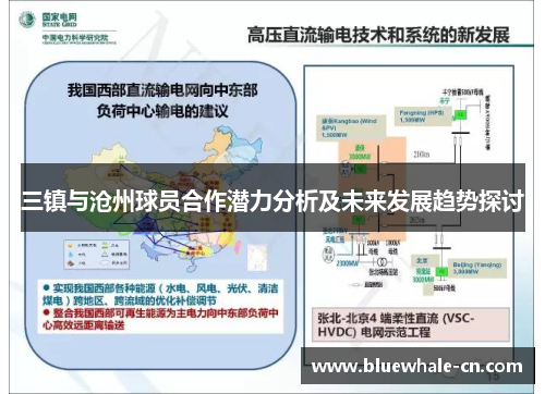 三镇与沧州球员合作潜力分析及未来发展趋势探讨