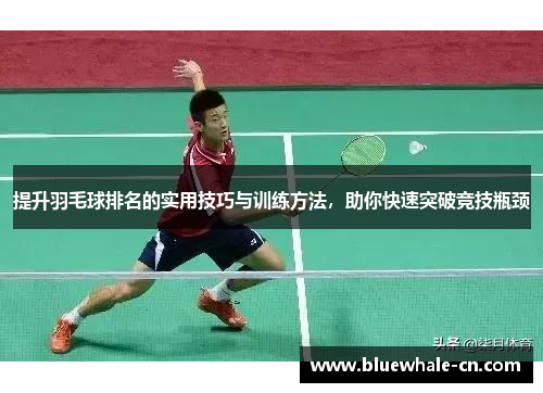 提升羽毛球排名的实用技巧与训练方法，助你快速突破竞技瓶颈