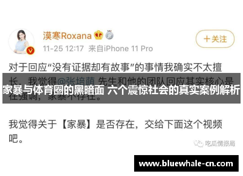 家暴与体育圈的黑暗面 六个震惊社会的真实案例解析