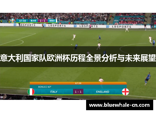 意大利国家队欧洲杯历程全景分析与未来展望