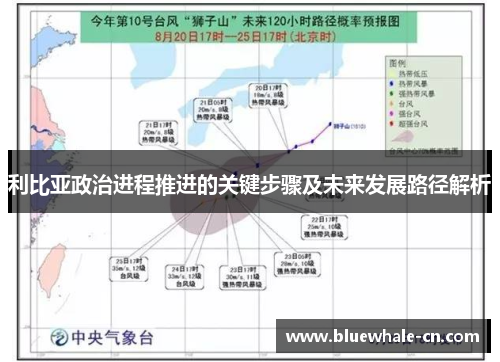 利比亚政治进程推进的关键步骤及未来发展路径解析