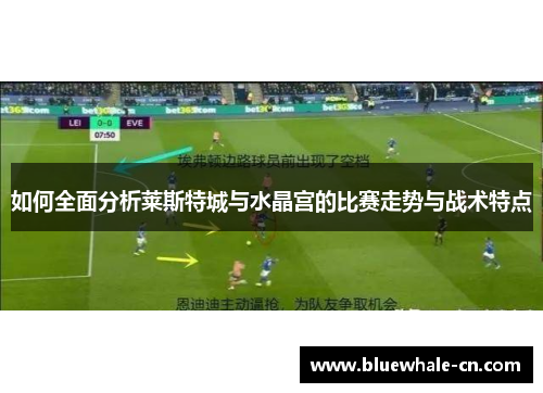 如何全面分析莱斯特城与水晶宫的比赛走势与战术特点
