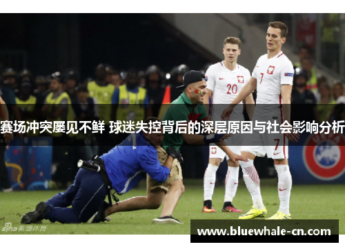 赛场冲突屡见不鲜 球迷失控背后的深层原因与社会影响分析