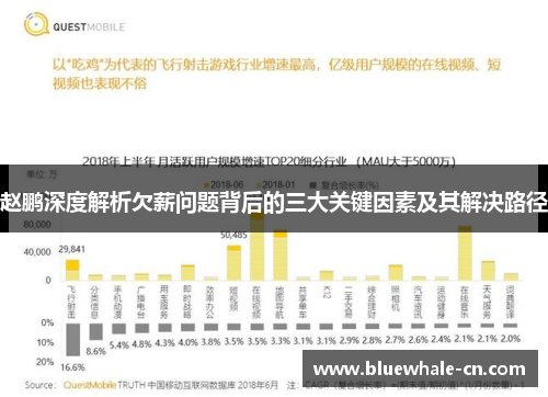 赵鹏深度解析欠薪问题背后的三大关键因素及其解决路径