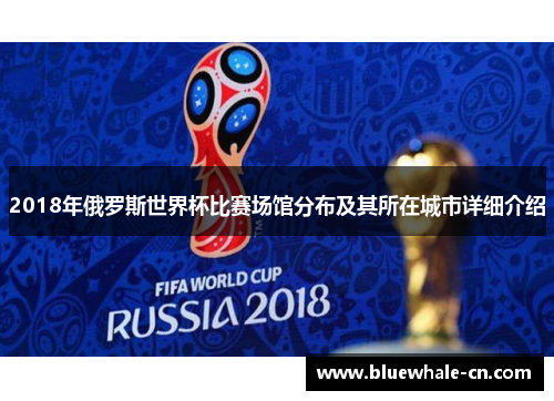 2018年俄罗斯世界杯比赛场馆分布及其所在城市详细介绍