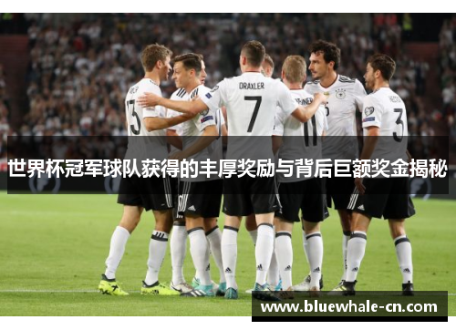 世界杯冠军球队获得的丰厚奖励与背后巨额奖金揭秘