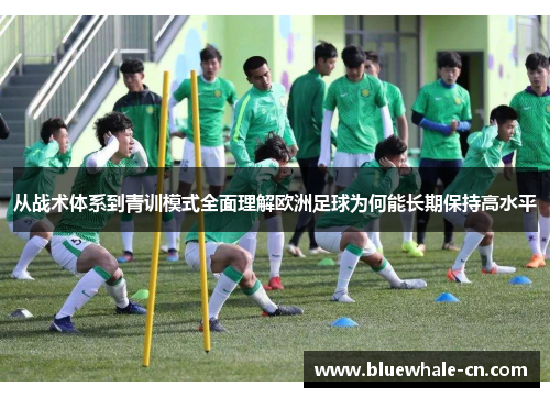 从战术体系到青训模式全面理解欧洲足球为何能长期保持高水平